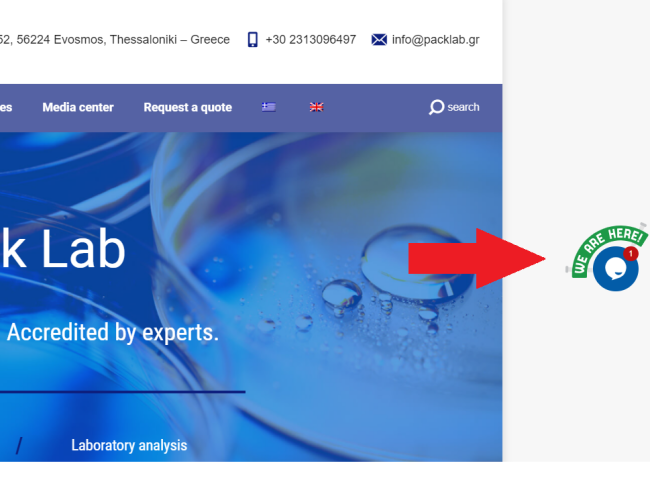 screenshot of website