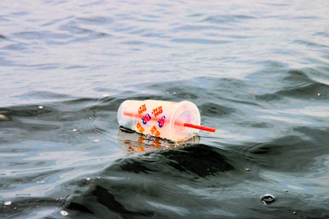 plastic cup in ocean ban of plastic