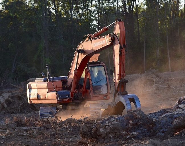 Μπουλντόζα για αποψίλωση - Χάρτινη συσκευασία και Νέος Κανονισμός 2023/1115 Κατά της Αποψίλωσης Δασών
