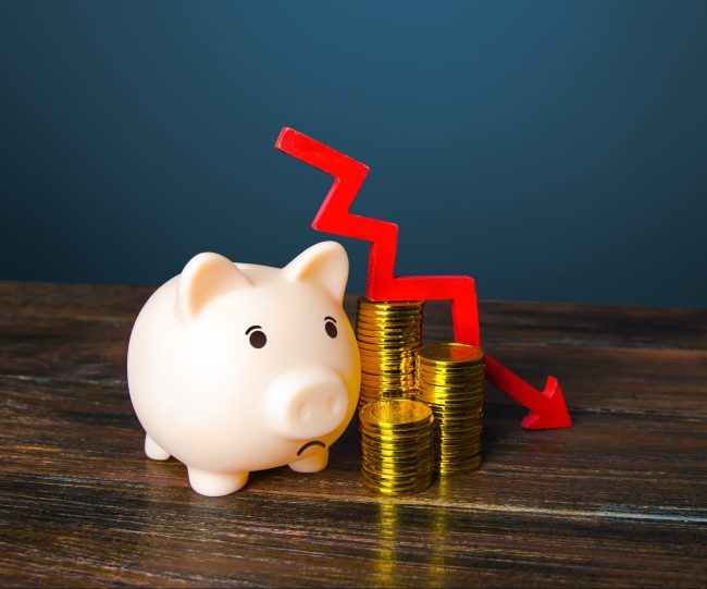 Piggy bank and money - eu recycling industry