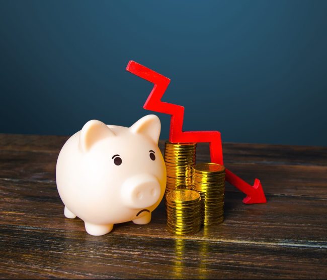 Piggy bank and money - eu recycling industry