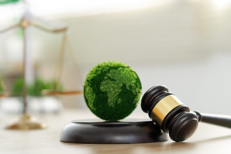 green claims directive scaled e1742300625705