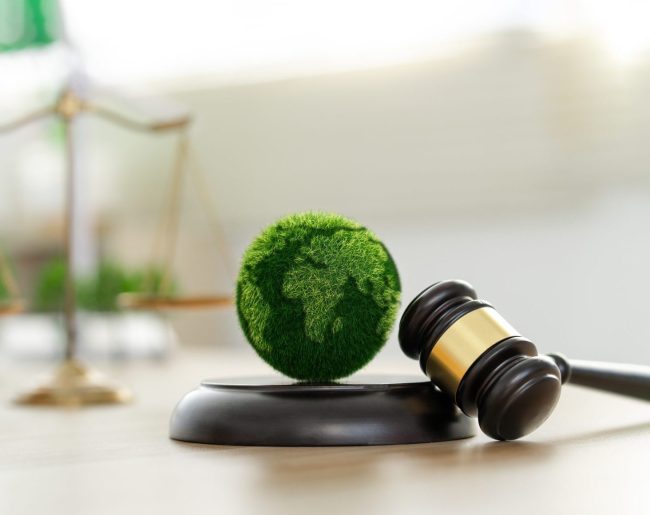 GREEN CLAIMS DIRECTIVE CONCEPT