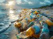 
litter and plastic bottles on beach - Countries with DRS Linked to Major Drop in Beach Litter