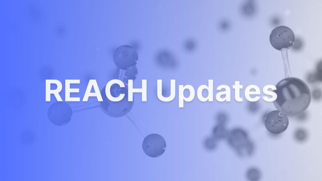 EU REACH 2025 EU Tightens Chemical Safety