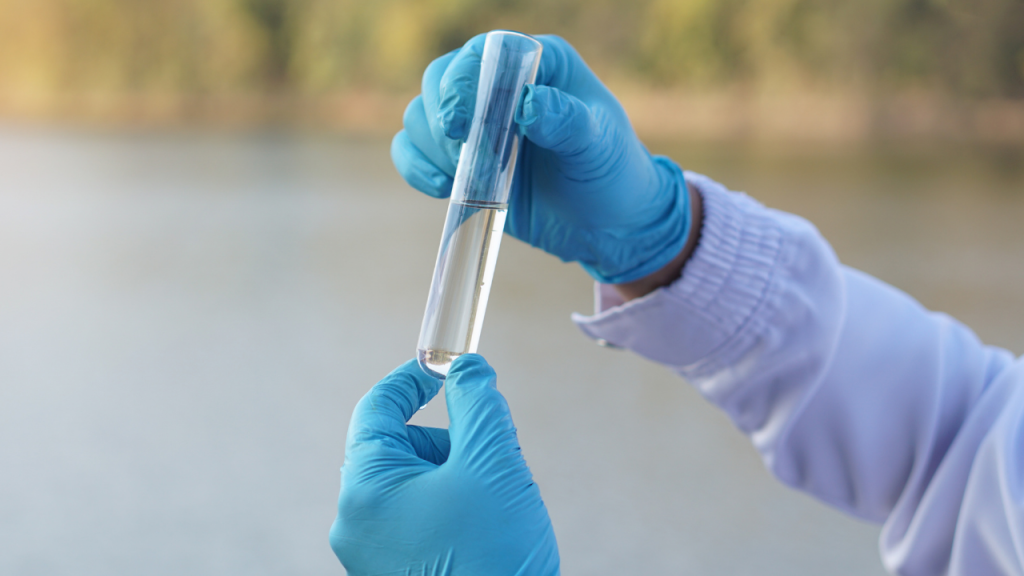 India Bans PFAS and BPA in Food Contact Materials