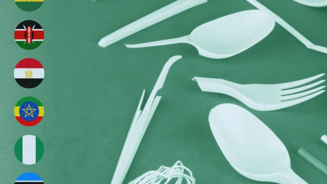 Packaging Regulations in Africa: 2025 Updates